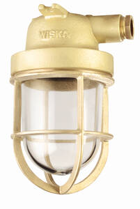 Glass globe with protection guard